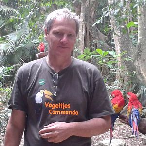 Vogelcommando with Scarlet macaws