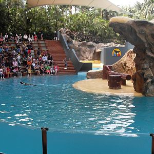 Loro Parque show