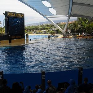 Loro Parque show