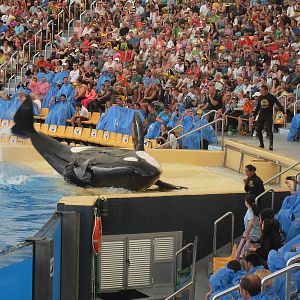Loro Parque show