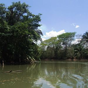 Canals of Ca?o Negro, 17/04/14