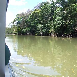 Canals of Ca?o Negro, 17/04/14