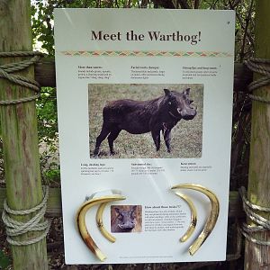 Warthog Exhibit Sign