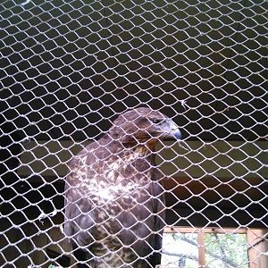 ID please? No sign on these new mews...