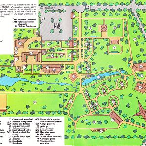 Zoo Map, 1983