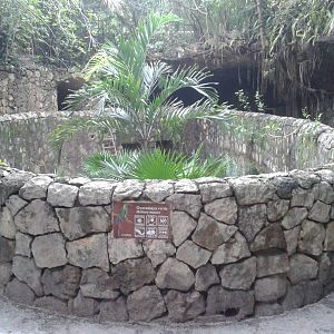 Empty Military macaw enclosure