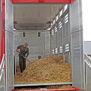 Avesta, in the middle of the nature, Rewilding Europe