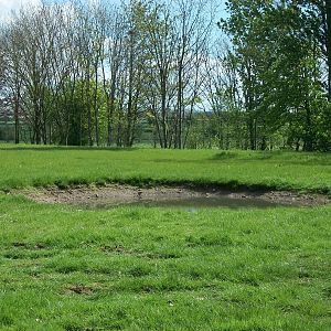 Indian Rhinos state of play, 6th May 2014