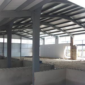 Indian Rhinos state of play, 6th May 2014