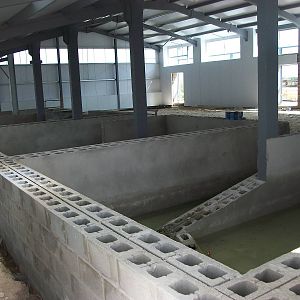 Indian Rhinos state of play, 6th May 2014