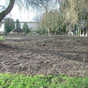 Goodbye to the Pelican (once Penguin) Pool, 17th February 2014