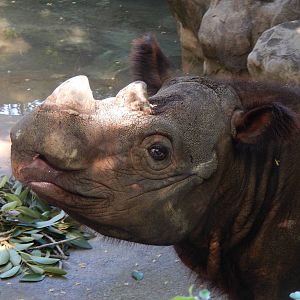 May. 2014 - Wildlife Canyon - Harapan