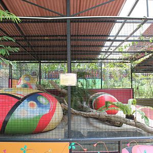 cage for reticulated python