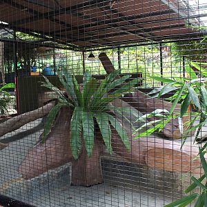 cage for Burmese python