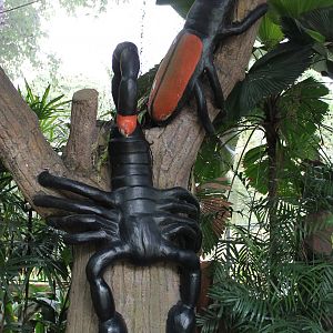 scorpion and beetle statues