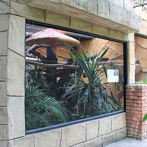 aviary for blue crowned pigeons (Goura cristata)