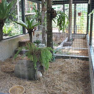 inside the hedgehog enclosure