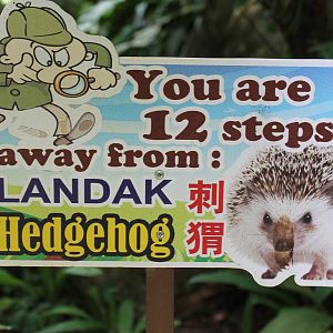 teaser hedgehog sign