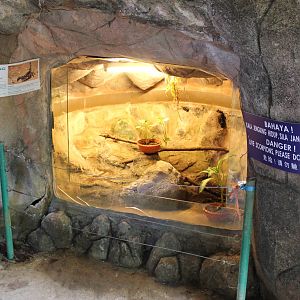 open-fronted scorpion enclosure