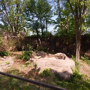 May. 2014 - Dragons! - Komodo Dragon Outdoor Exhibit