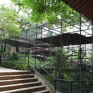 parrot aviaries