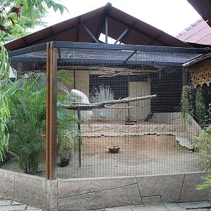 peacock aviary