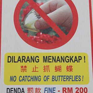 sign in the butterfly enclosure