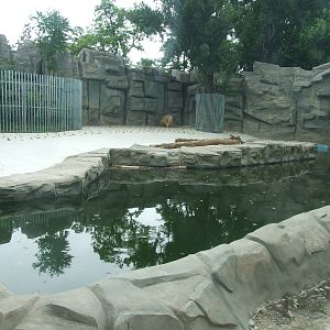 Polar Bear exhibit