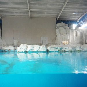 Indoor polar bear exhibit