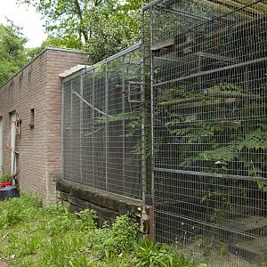 Ruffed lemur house, 5/14/14