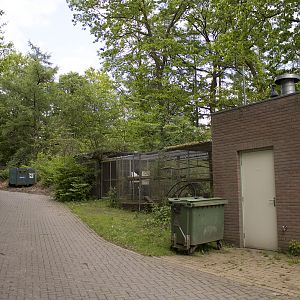 Ruffed lemur house, 5/14/14