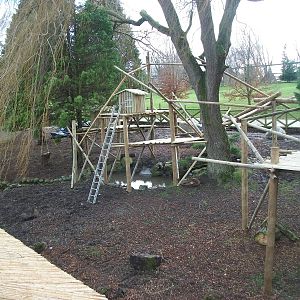 Red Panda exhibit progress, 27th December 2013