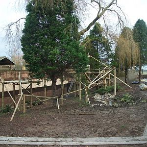 Red Panda exhibit progress, 27th December 2013