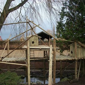 Red Panda exhibit progress, 27th December 2013