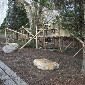 Red Panda exhibit progress, 27th December 2013