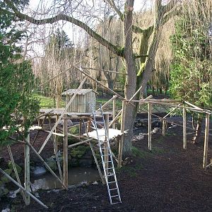 Red Panda exhibit progress, 3rd January 2014