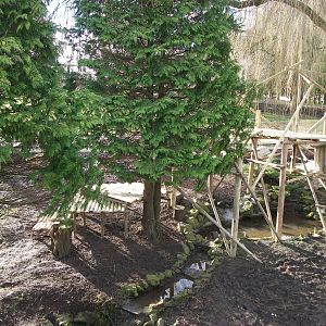 Red Panda exhibit completed, 21st February 2014