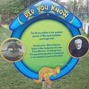 Signage, 27th December 2013