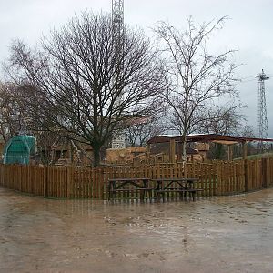 Dino-Stone Park, 30th December 2013