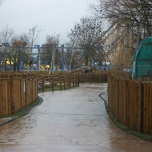 Dino-Stone Park, 30th December 2013