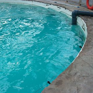 Where the Killer Whale chewed, 30th December 2013