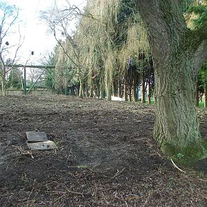 Whoops missed this one of the former Pelican pool area, 21st February 2014
