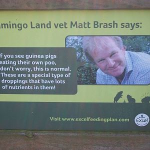 Signage, 3rd January 2014