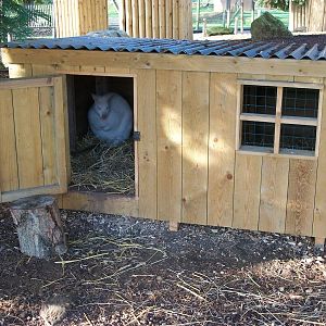 Wallaby shelter, 3rd January 2014
