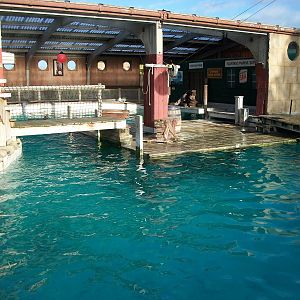 Sealion Pool, 3rd January 2014