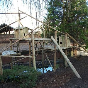 Red Panda exhibit progress, 3rd January 2014