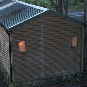 Flamingo housing, 3rd January 2014