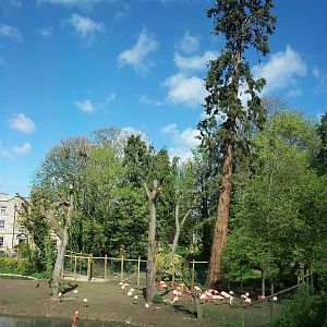 Another piece of history still stands, 6th May 2014