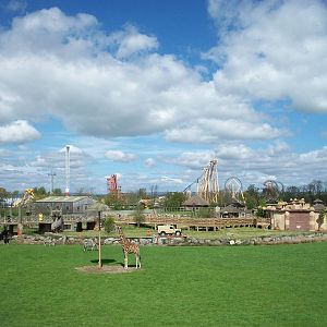 From the tiger bridge viewing point, 6th May 2014