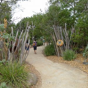Pathway, general view
